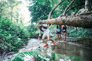 BIB: 
                            <button type="button" onclick="openModal(25443078)" class="btn btn-primary btn-sm float-right btn-popup" data-toggle="modal" data-target=".modal-high-quality">
                        <i class="fas fa-shopping-cart"></i> Add to Cart
                    </button>
                                            <button type="button" onclick="isThisMe(25443078, true)" class="btn btn-success btn-sm float-right btn-popup btn-isme hidden" data-toggle="tooltip" data-placement="bottom" title="นี่คือรูปของคุณใช่ไหม คลิกที่นี่เพื่อเอาเข้าอัลบั้ม">
                        <i class="fas fa-plus"></i> Add to album
                    </button>
                    <button type="button" onclick="isThisMe(25443078, false)" class="btn btn-warning btn-sm float-right btn-popup btn-isnotme hidden">
                        <i class="fas fa-ban"></i> Remove from album
                    </button>